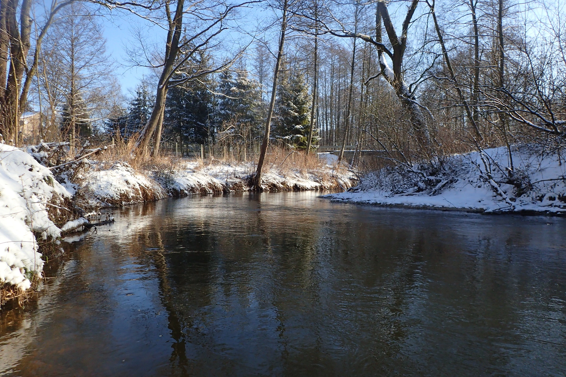 Kajaki na Białce